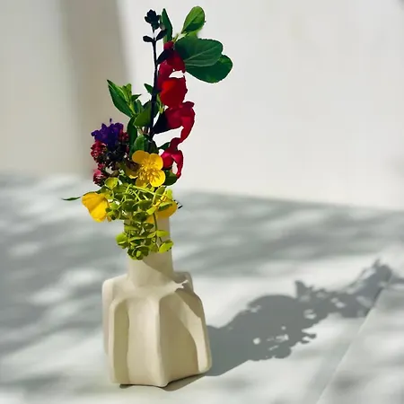 Indigo, Au Coeur Du Village De Sainte-Marie-de-Ré